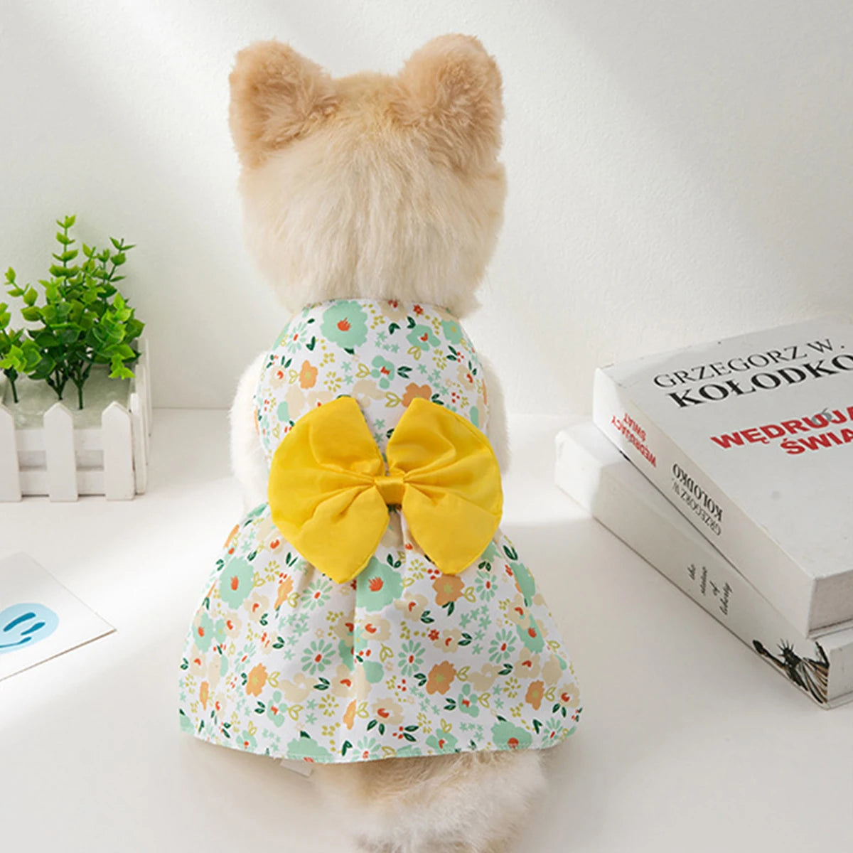 Colorful Dog Skirt