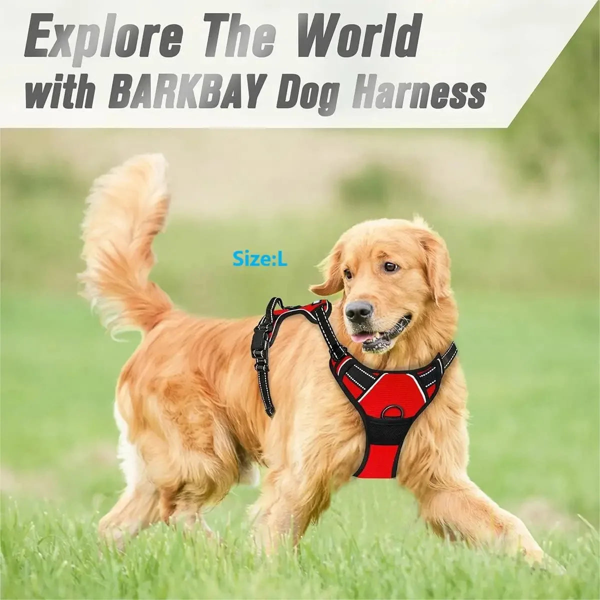 Big Vests Leash