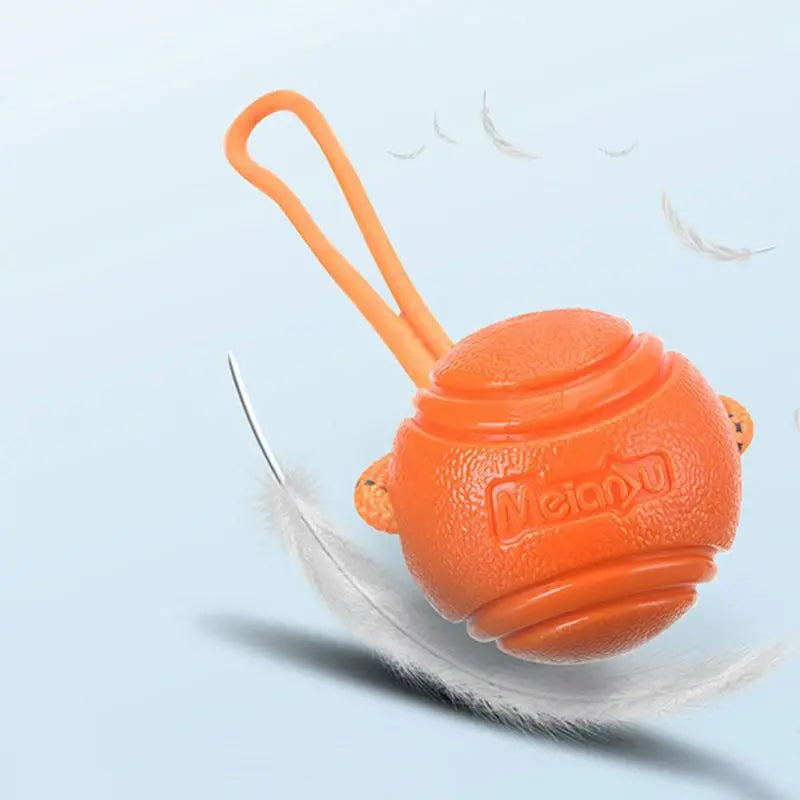 Bouncy Rubber Ball Chew Toys