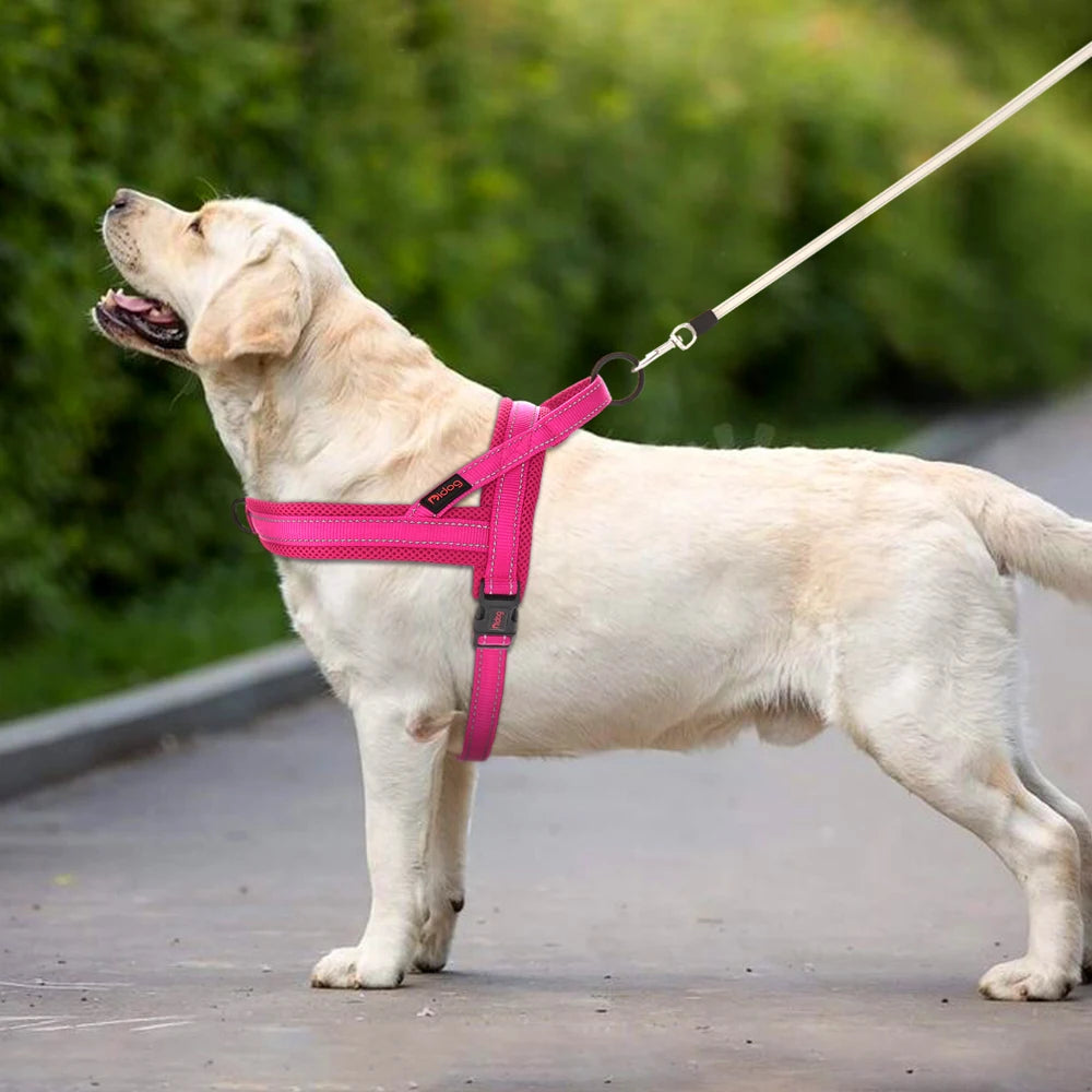 No Pull Dog Nylon Pet Harness