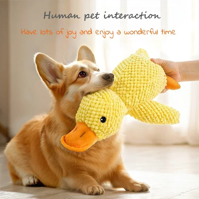 Dog Toys - Squeaky Chew Proof-Self-Entertaining