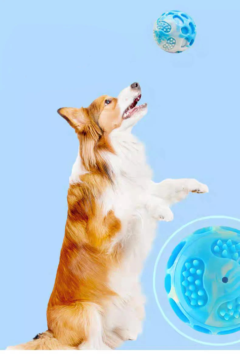 Pet dog Teeth comfort toy