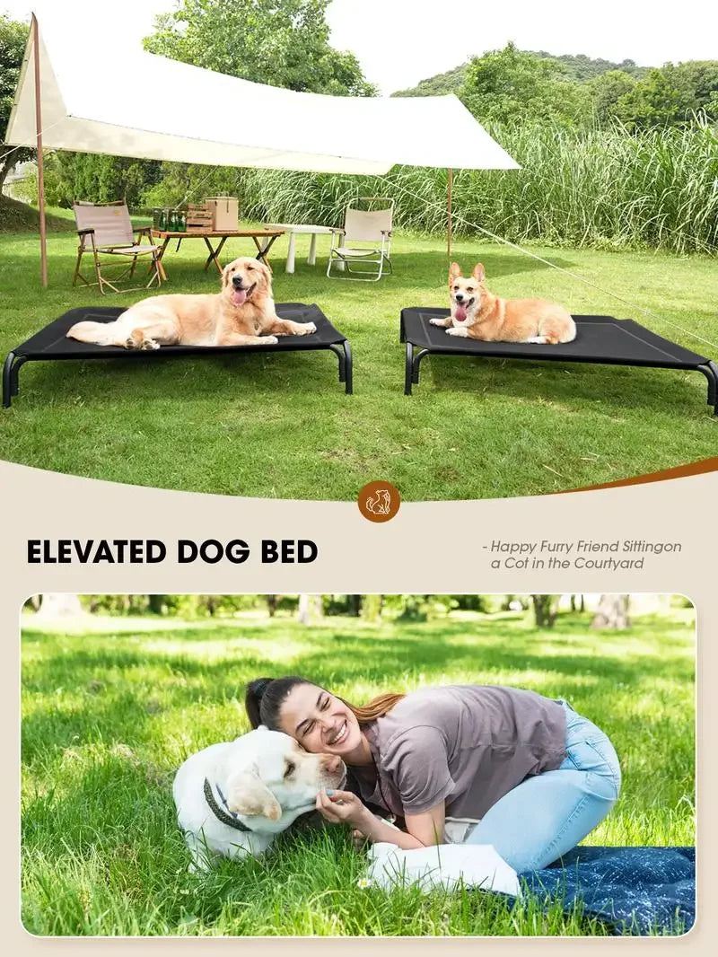 Elevated Dog Bed for Large Dogs