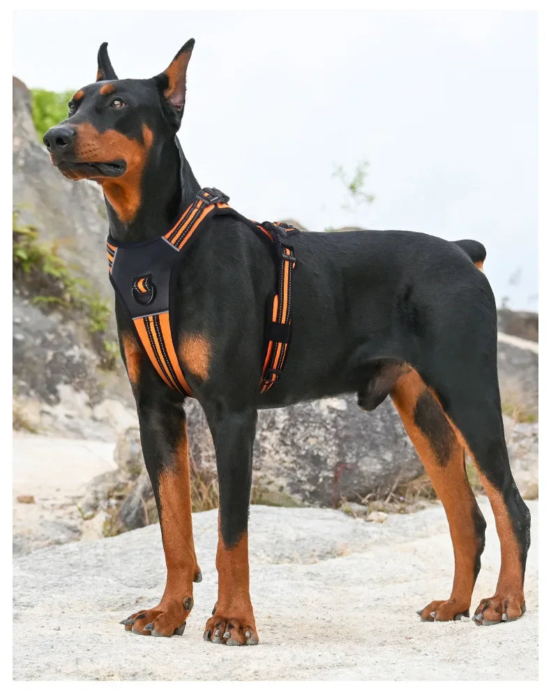 No Pull Harness