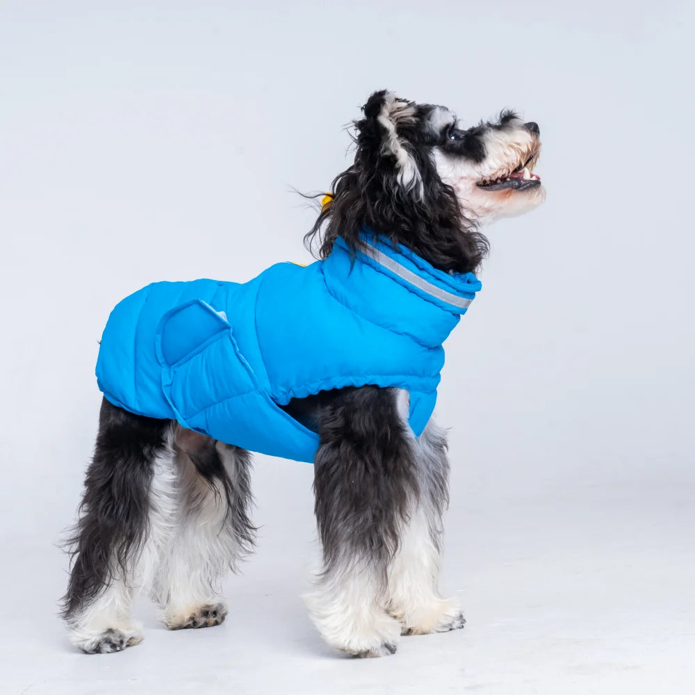 Costumes Jacket For Dogs