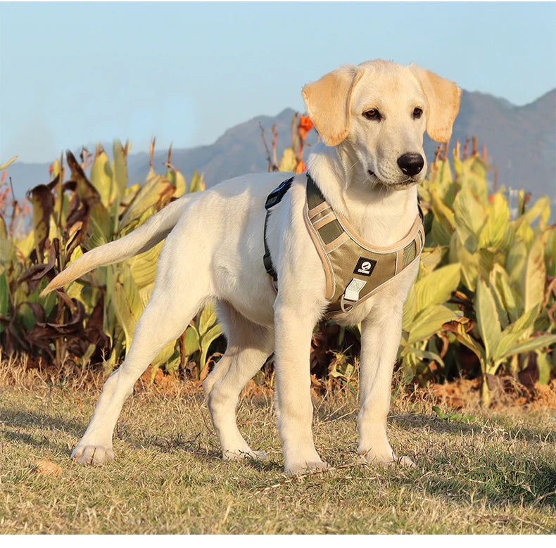 Pet Collar Labrador Army Reflective Adjustable Harness