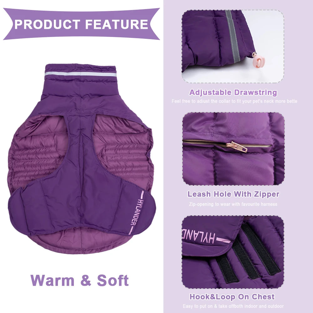 Costumes Jacket For Dogs