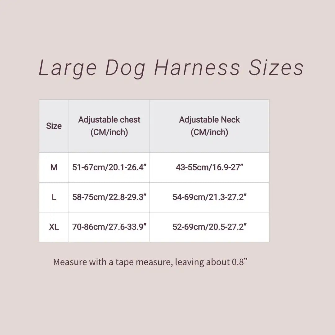 Genuine Leather Y-Shaped Dog Harness