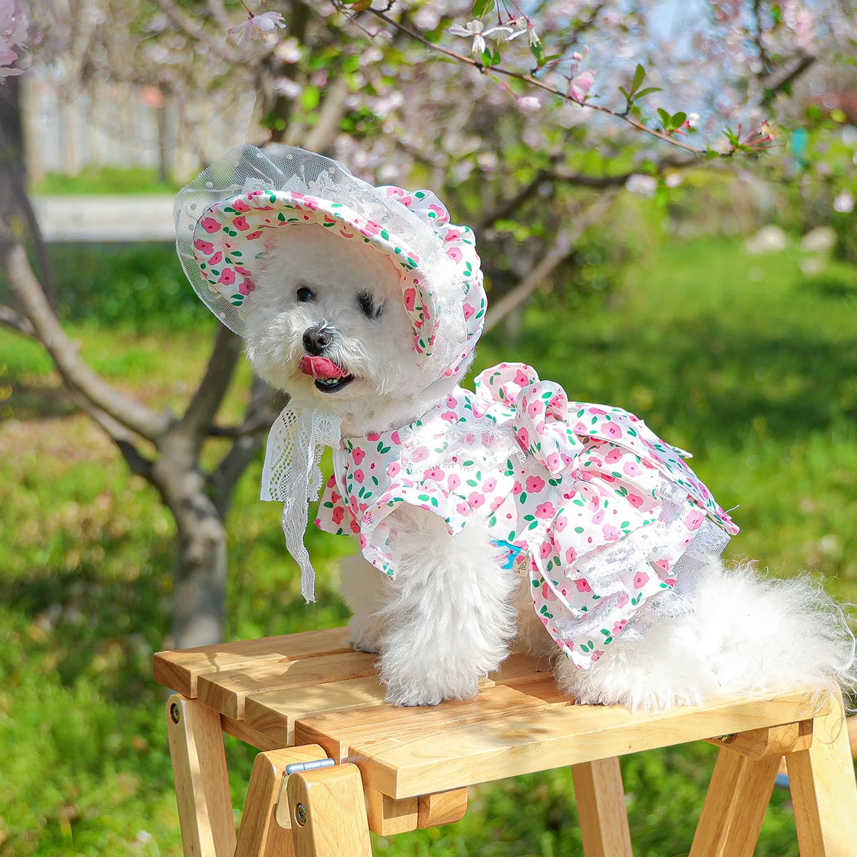 Floral dress, princess dress for dogs