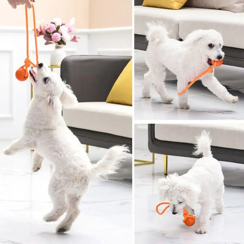 Bouncy Rubber Ball Chew Toys