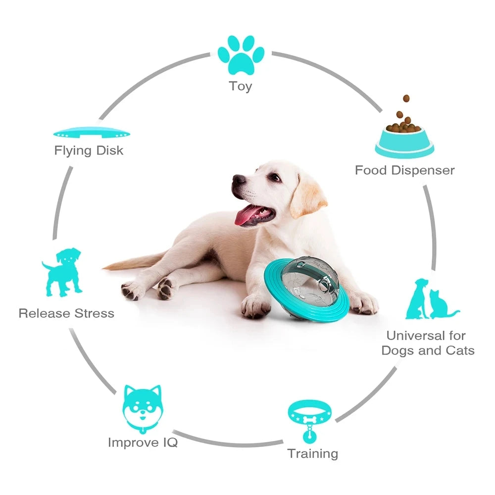 Slow Feed Dog Toy