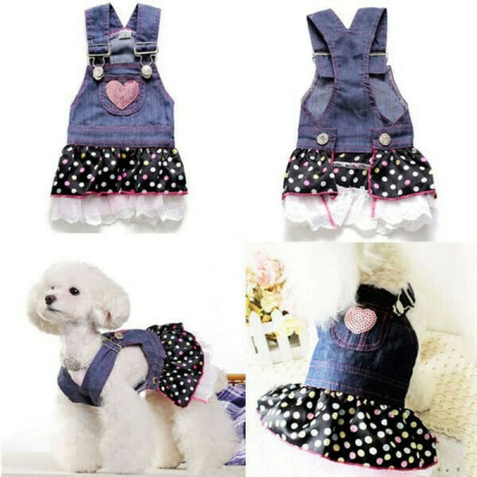 Denim Dot Dog Dress