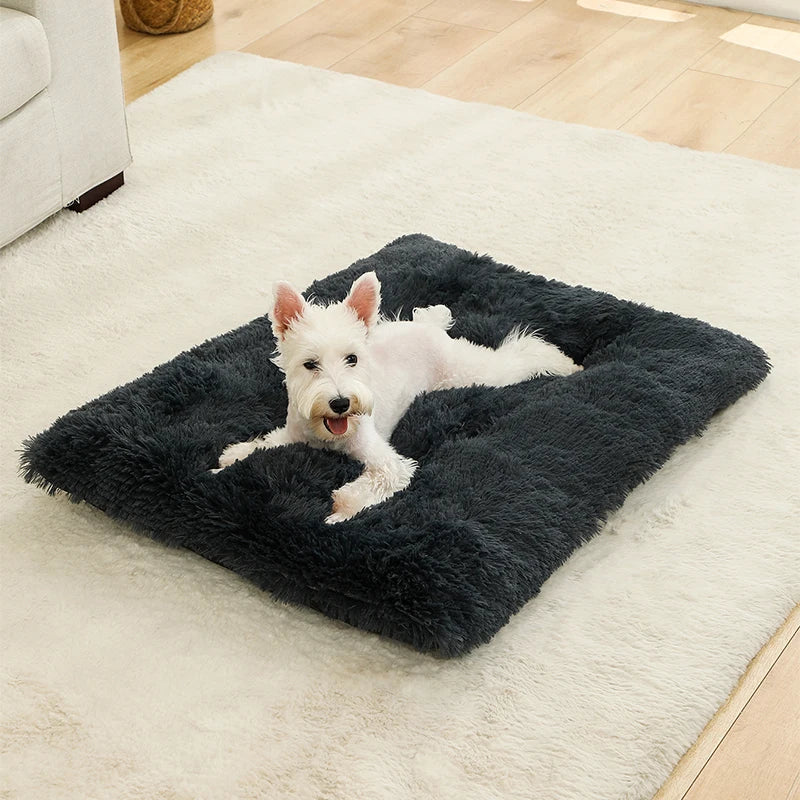 Best Pet Dog Bed