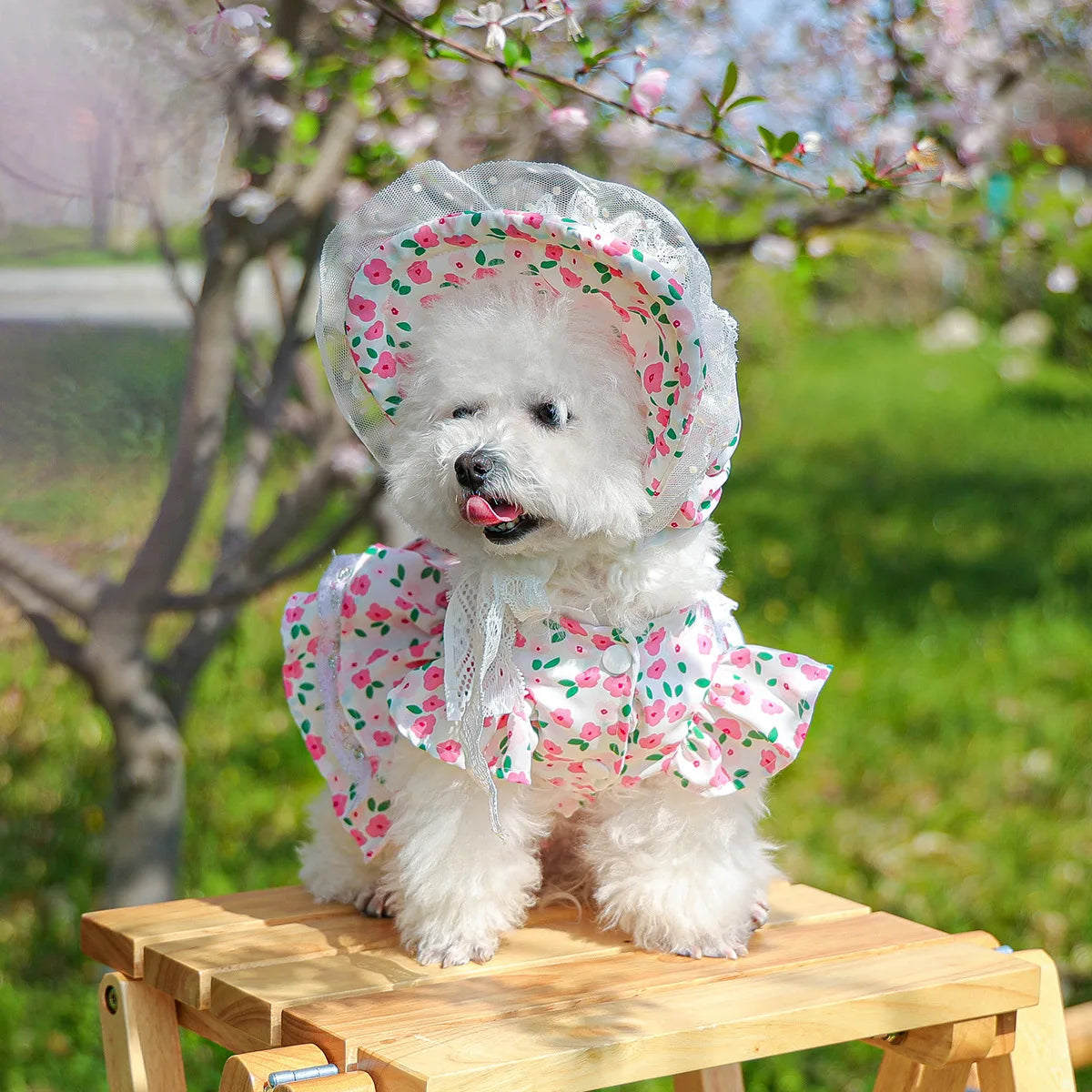 Floral dress, princess dress for dogs
