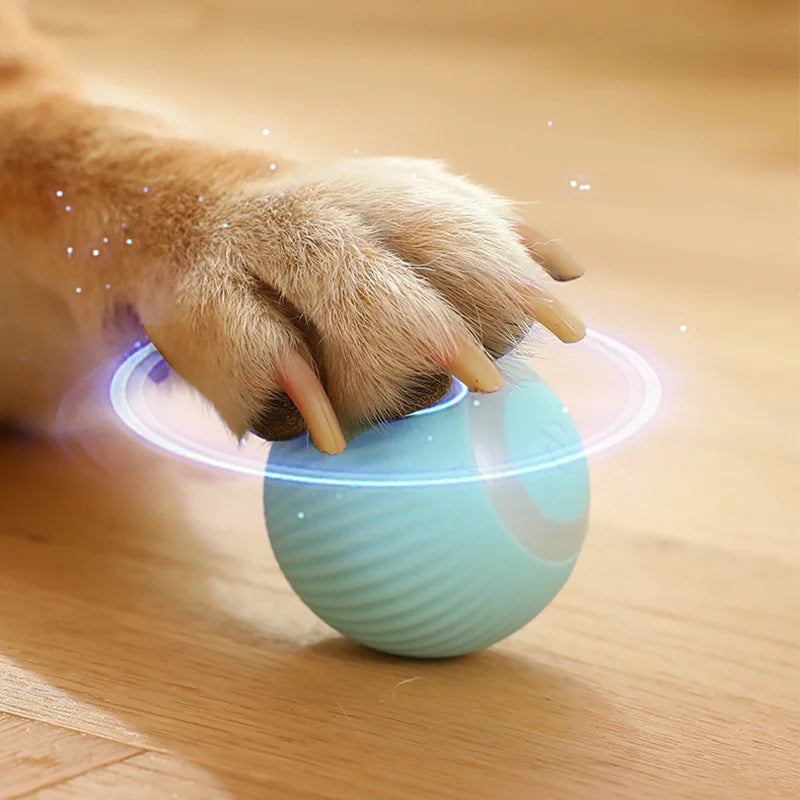 Auto Rolling Ball Self-moving Puppy Games Toys