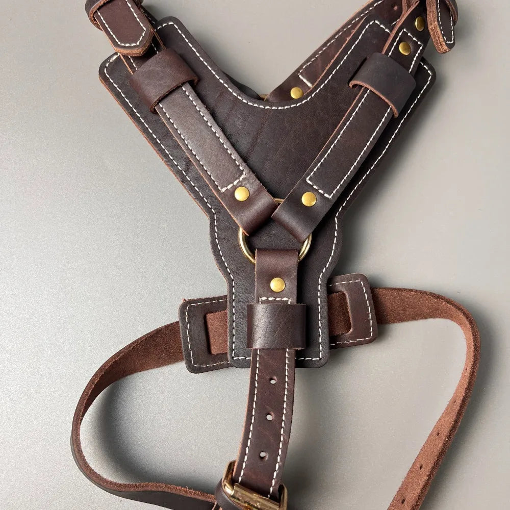 Genuine Leather Y-Shaped Dog Harness