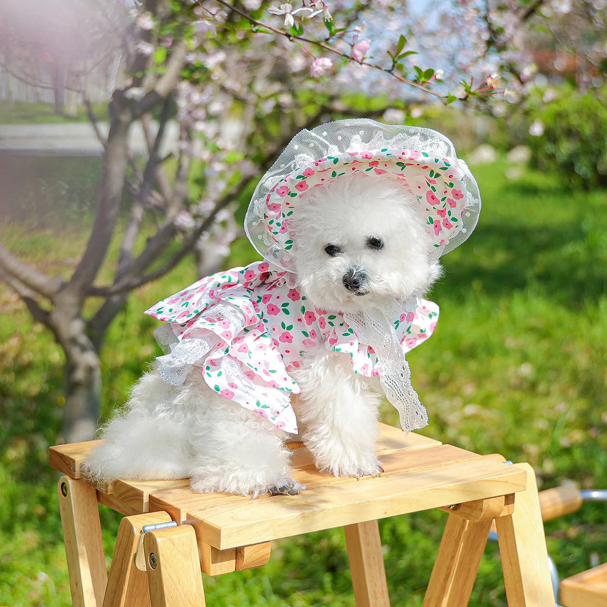 Floral dress, princess dress for dogs