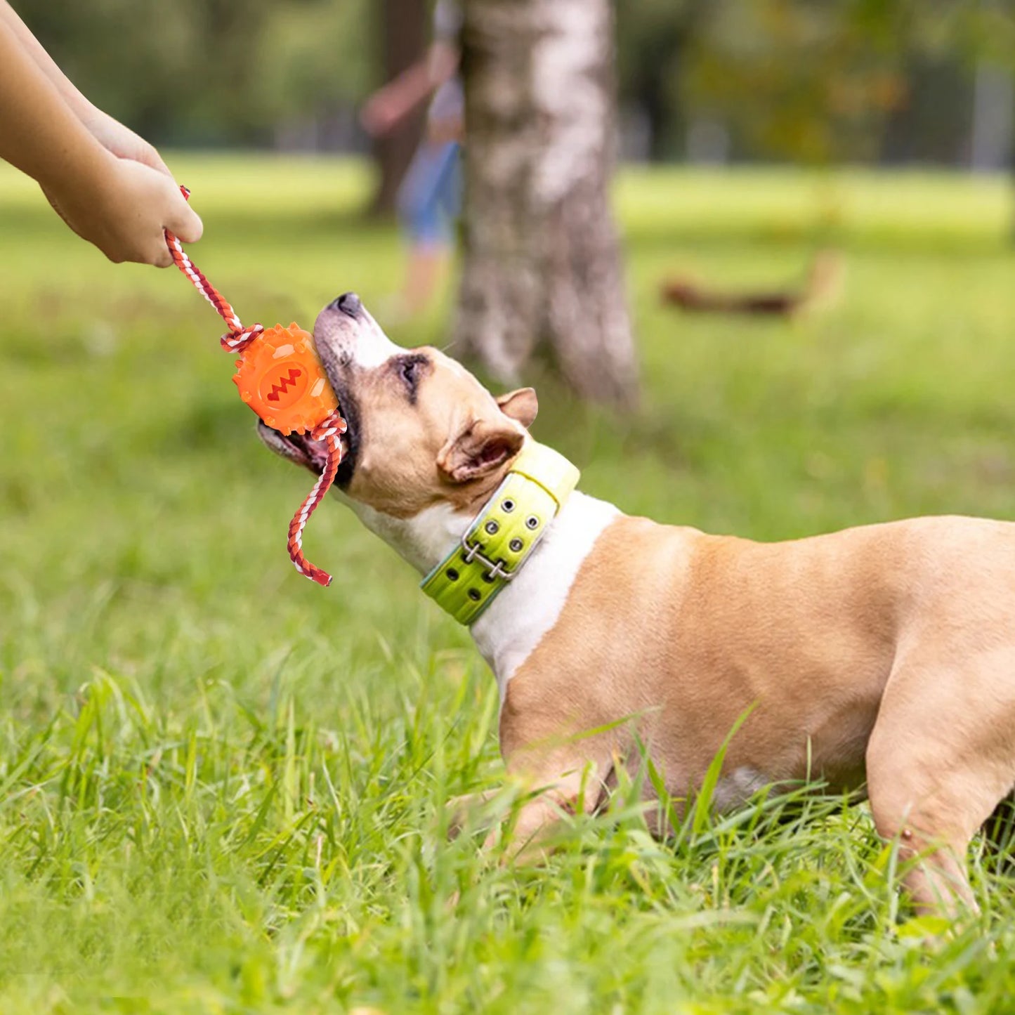Dog Grinding Teeth Toys