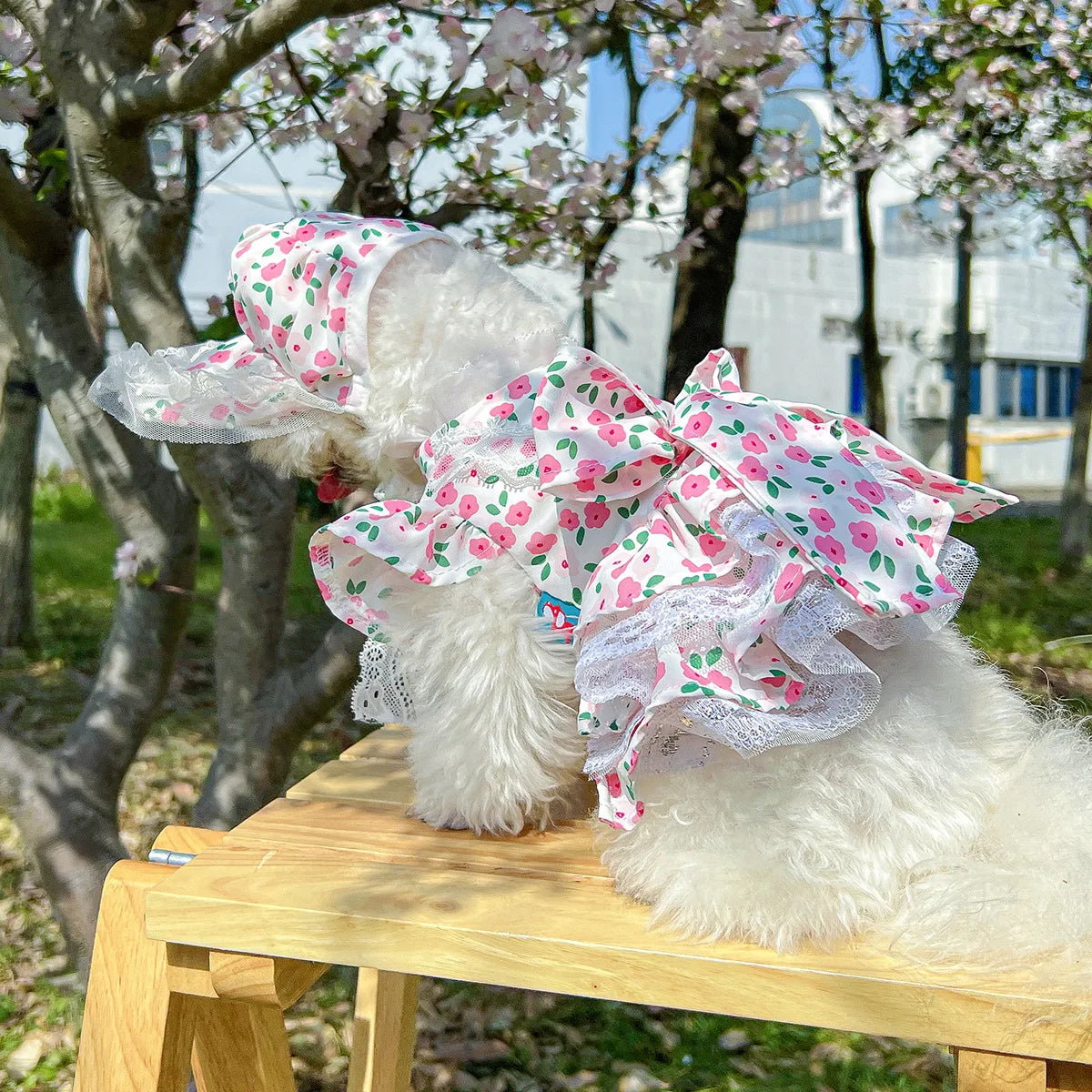 Floral dress, princess dress for dogs