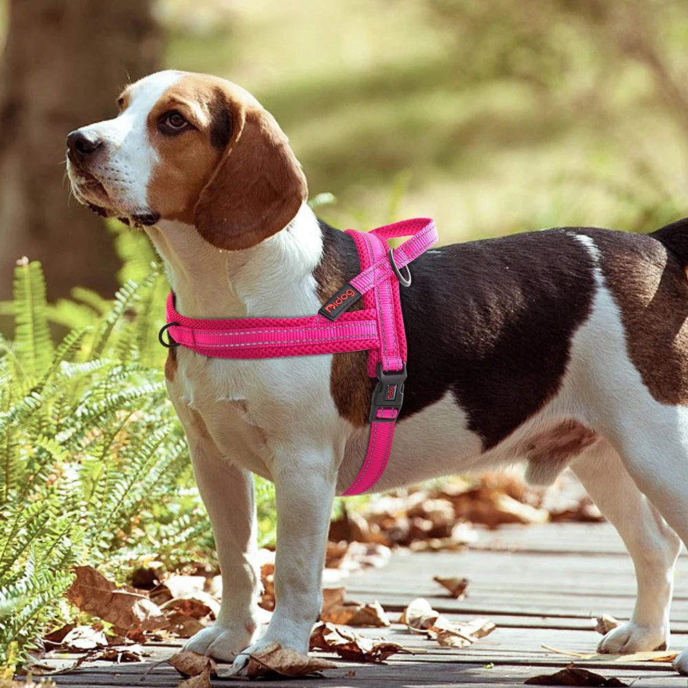 No Pull Dog Nylon Pet Harness