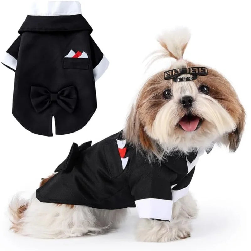 Dog Tuxedo with Bow Tie