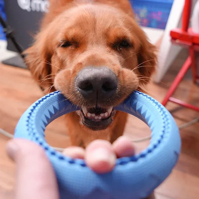 Dog Ring Toys