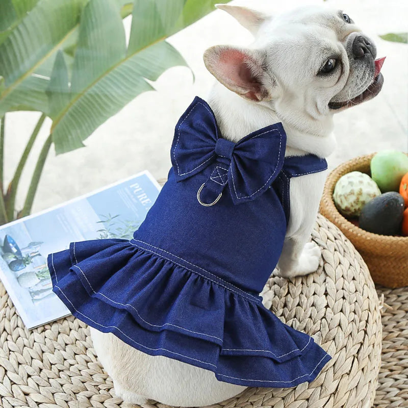 Spring Blue Dog Dress