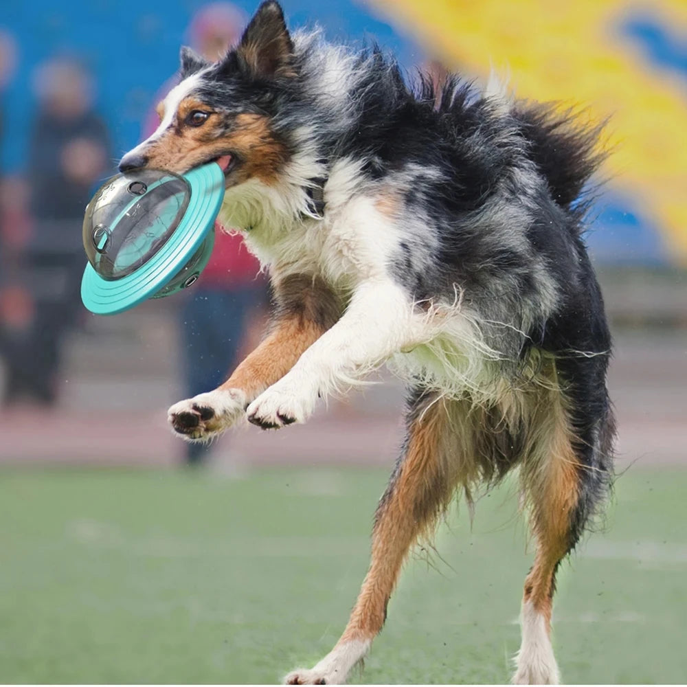 Slow Feed Dog Toy