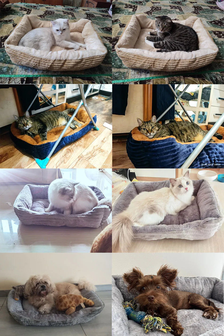 Pet Square Plush Kennel Medium Small Dog Sofa Bed