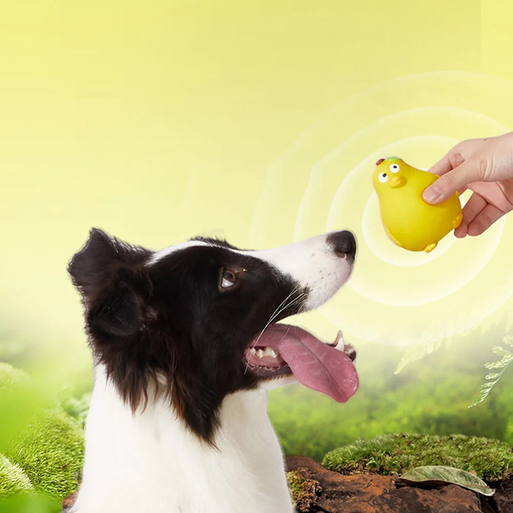 New Dog Toys - Latex Grumpy Frog & Yellow Duck