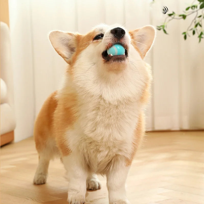 Auto Rolling Ball Self-moving Puppy Games Toys