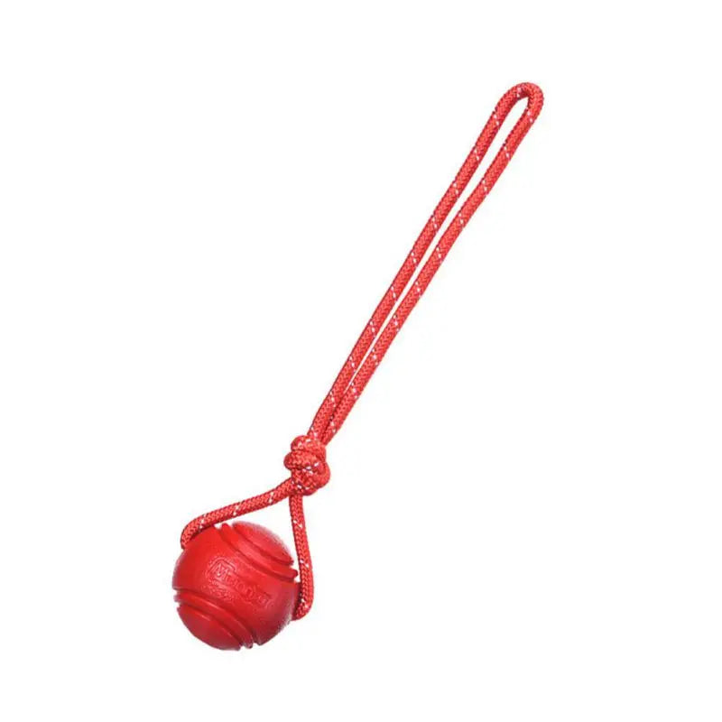 Bouncy Rubber Ball Chew Toys