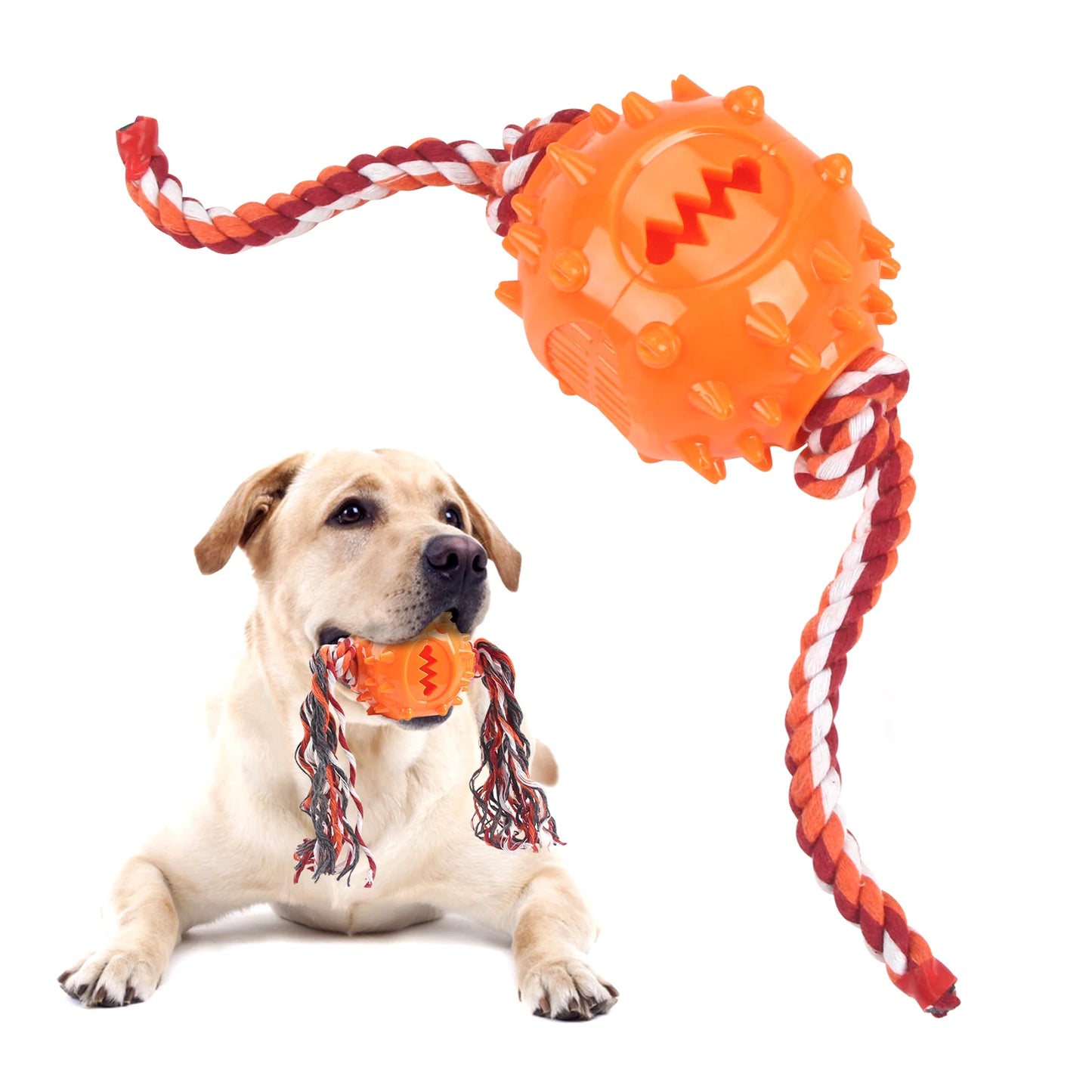 Dog Grinding Teeth Toys