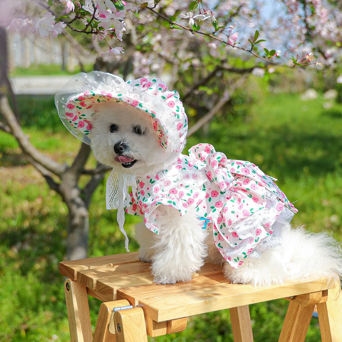Floral dress, princess dress for dogs