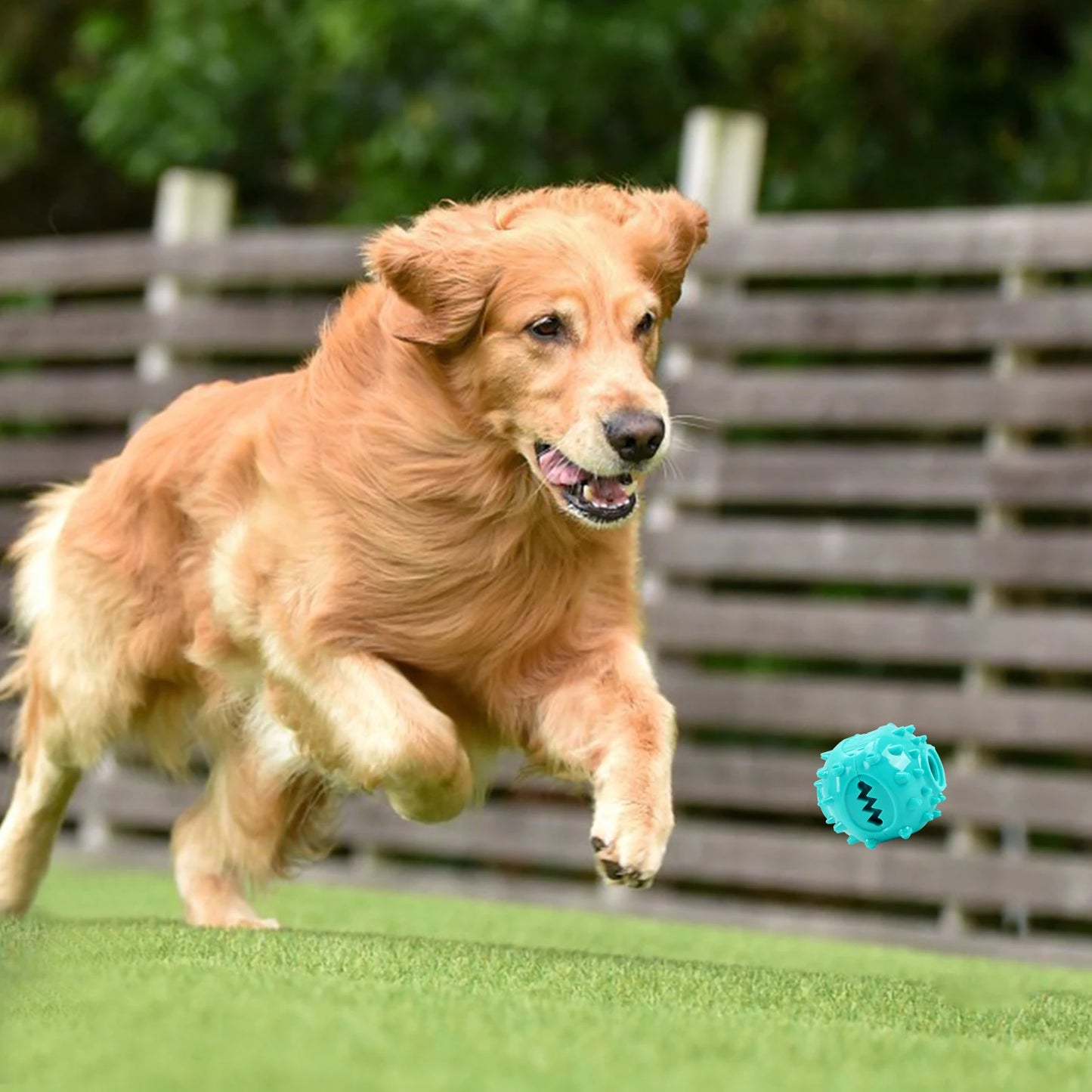 Dog Grinding Teeth Toys