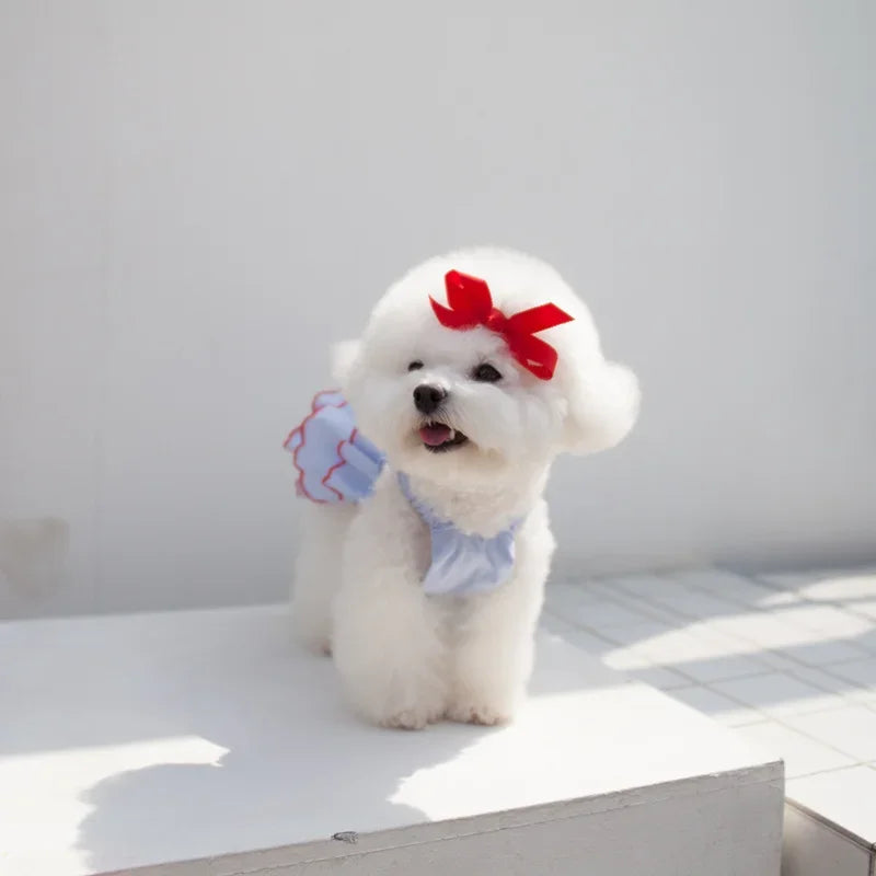 Cute dress