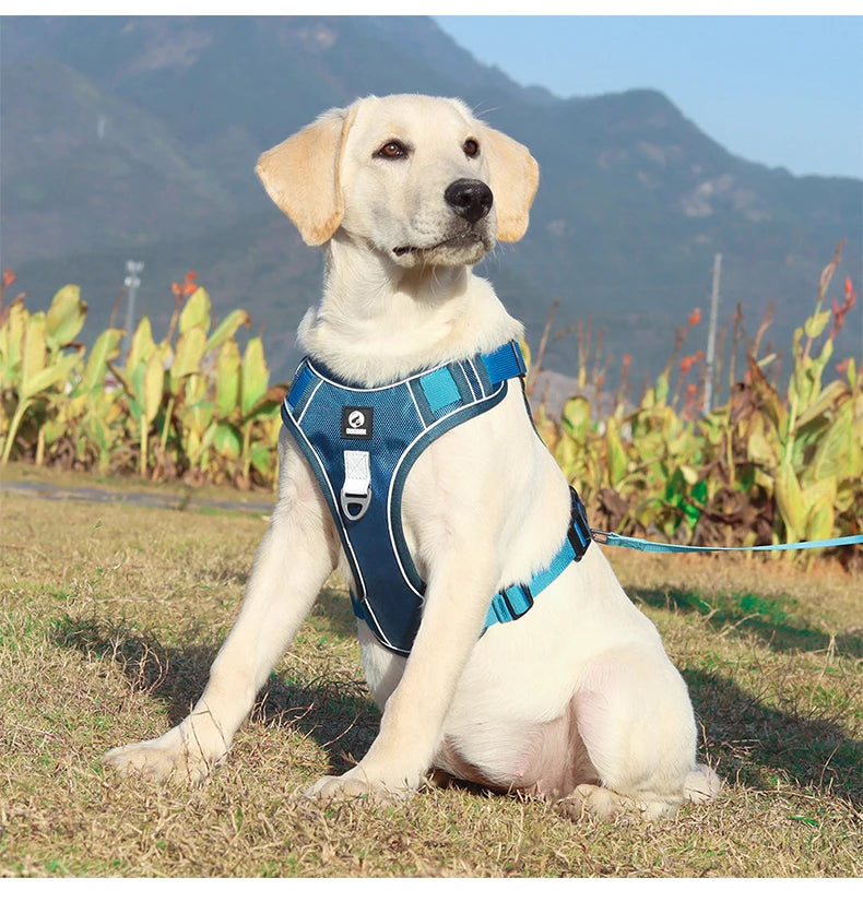 Pet Collar Labrador Army Reflective Adjustable Harness