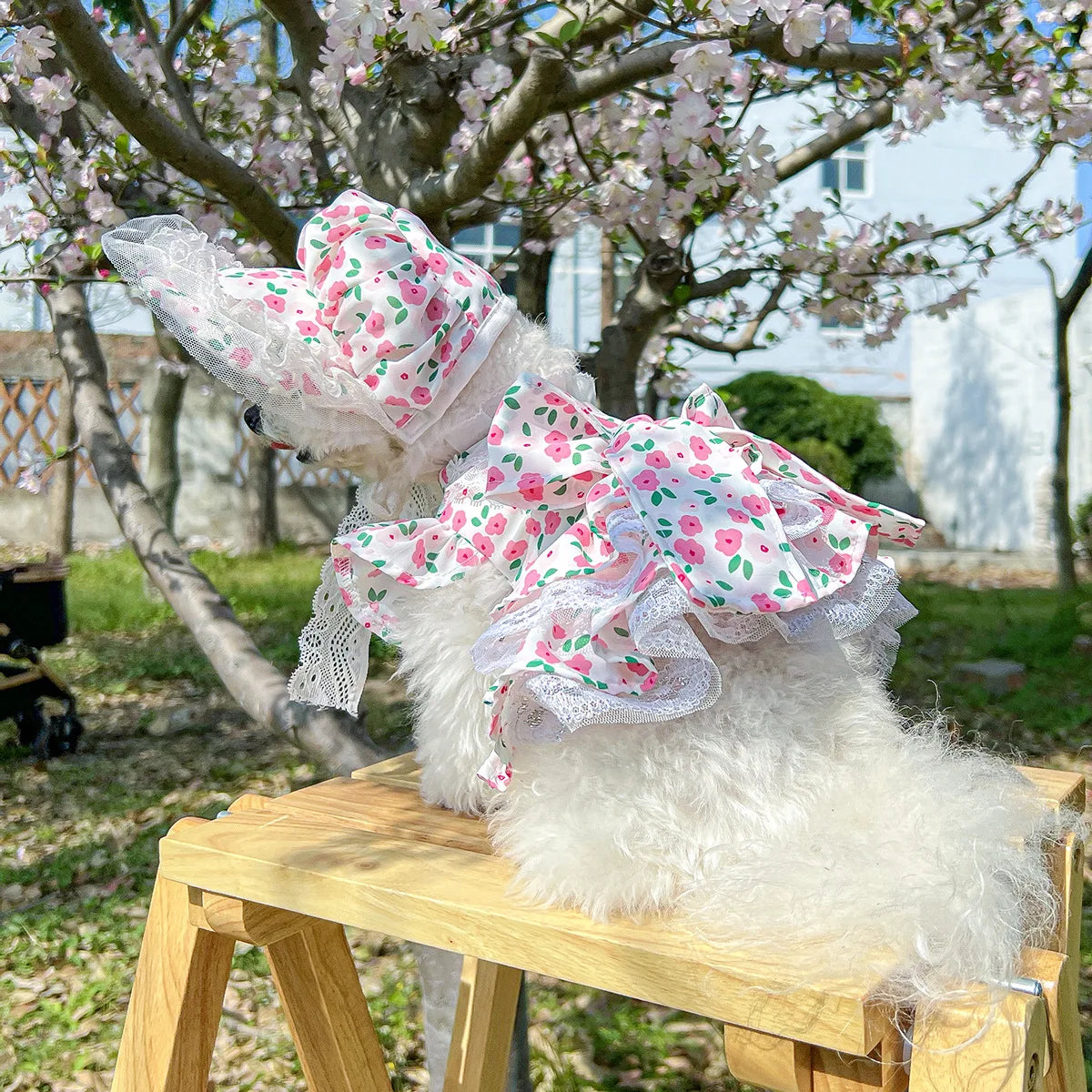 Floral dress, princess dress for dogs
