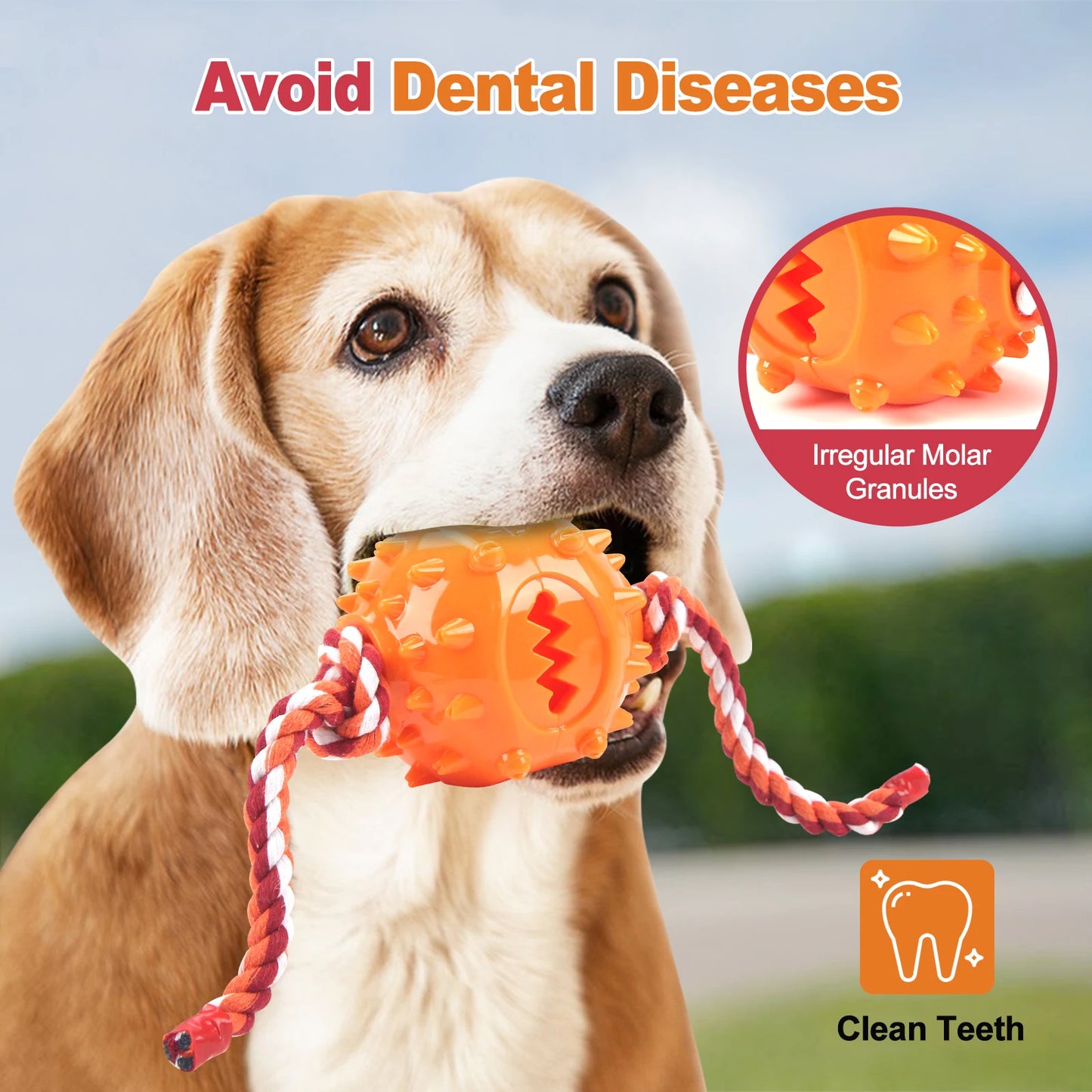 Dog Grinding Teeth Toys