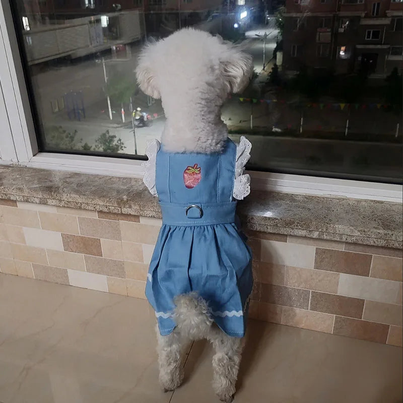 Denim Dog Princess Dress