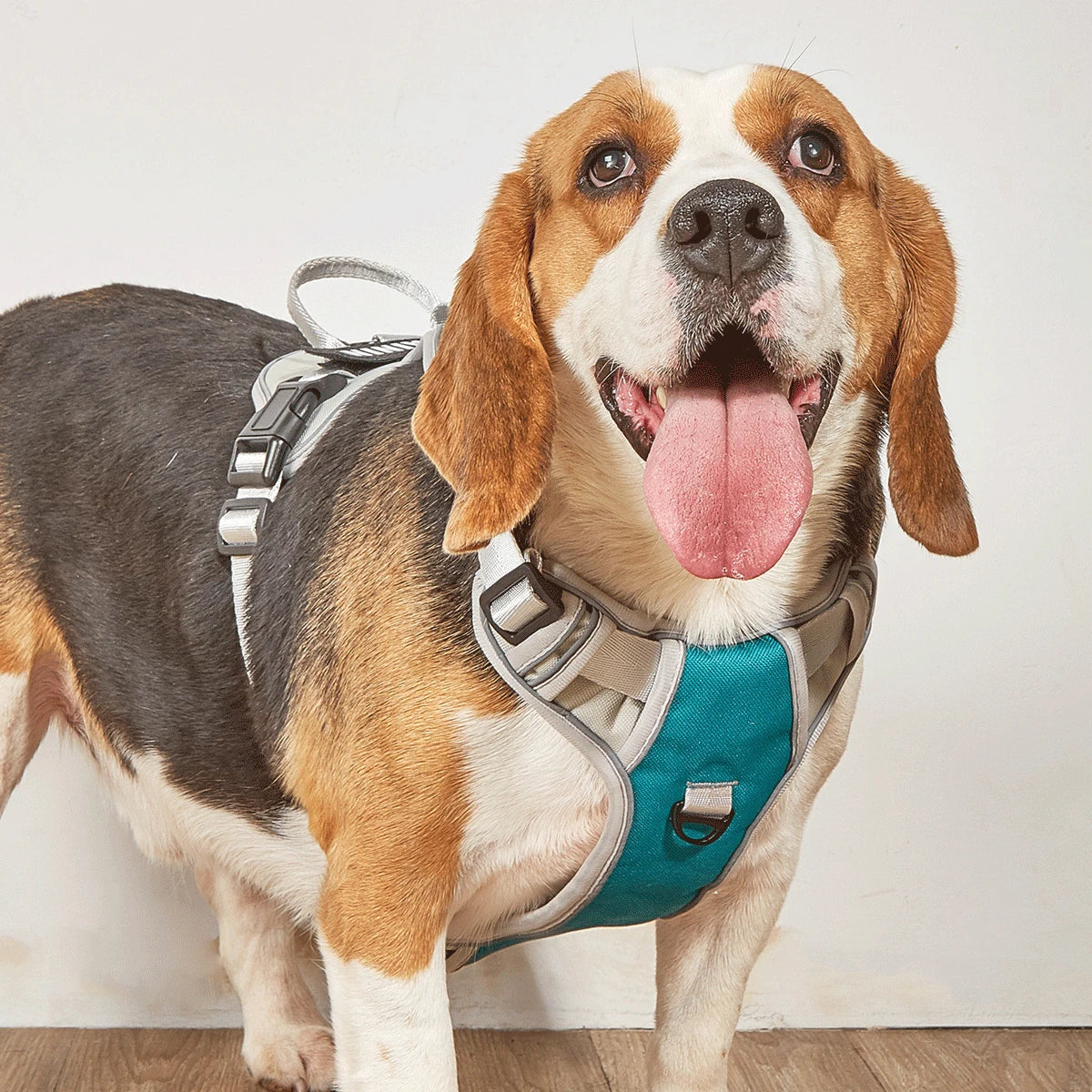 Adjustable Reflective Pet Harness for Medium Large Dogs