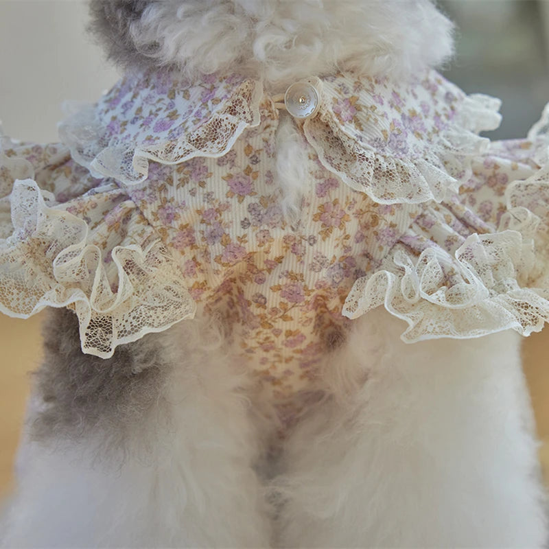 Floral Printed Lace Ruffle Flutter Sleeves Dress