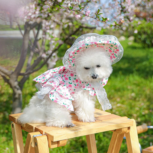 Floral dress, princess dress for dogs