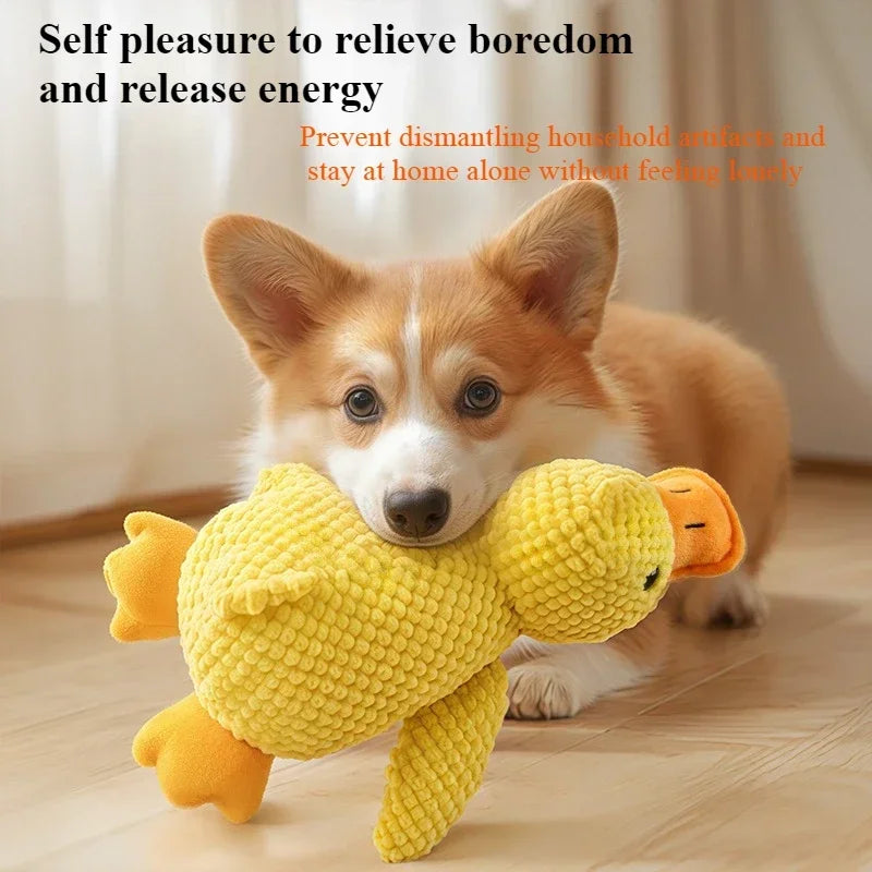 Dog Toys - Squeaky Chew Proof-Self-Entertaining