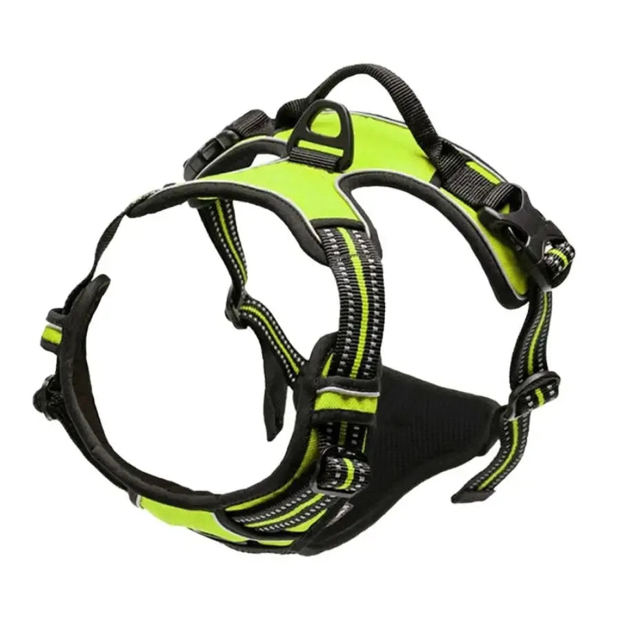 Big Vests Leash