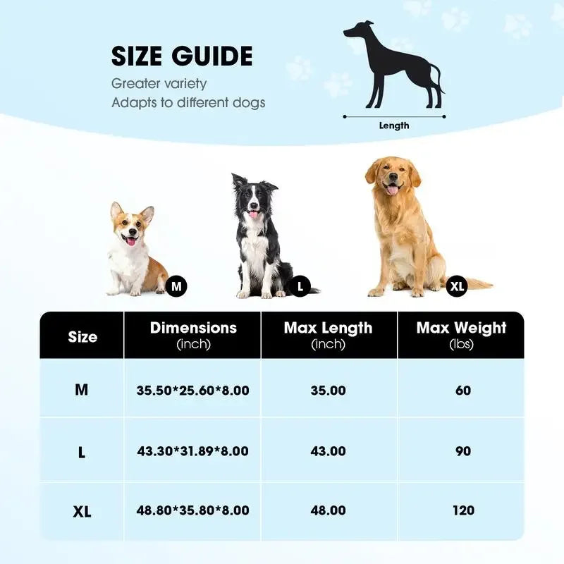 Elevated Dog Bed for Large Dogs