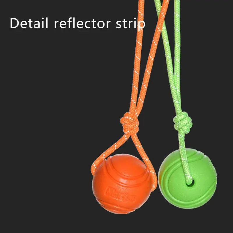 Bouncy Rubber Ball Chew Toys