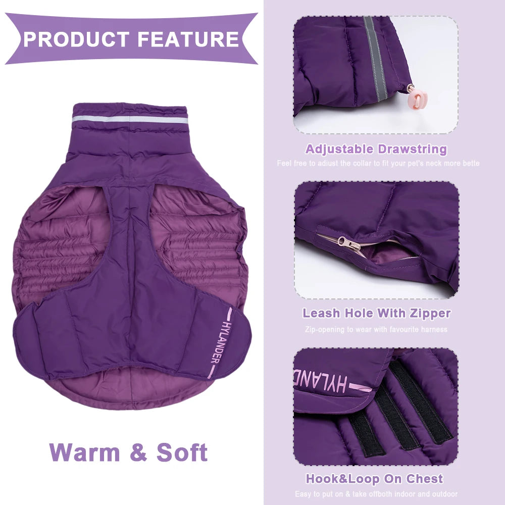 Costumes Jacket For Dogs