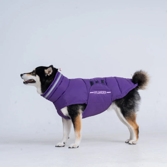 Costumes Jacket For Dogs