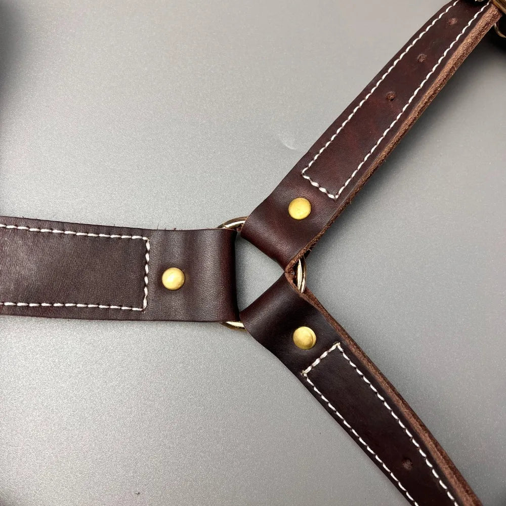 Genuine Leather Y-Shaped Dog Harness